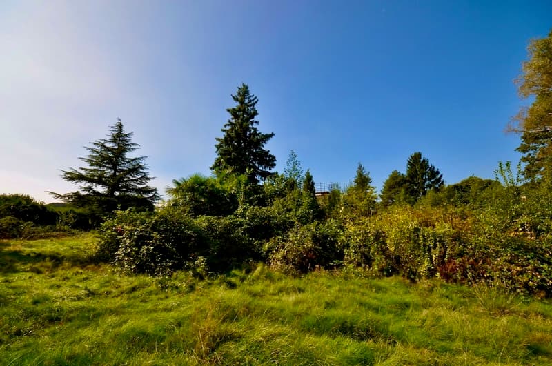Villa da Ristrutturare Immersa in un Grande Parco con Tanta Privacy (9)