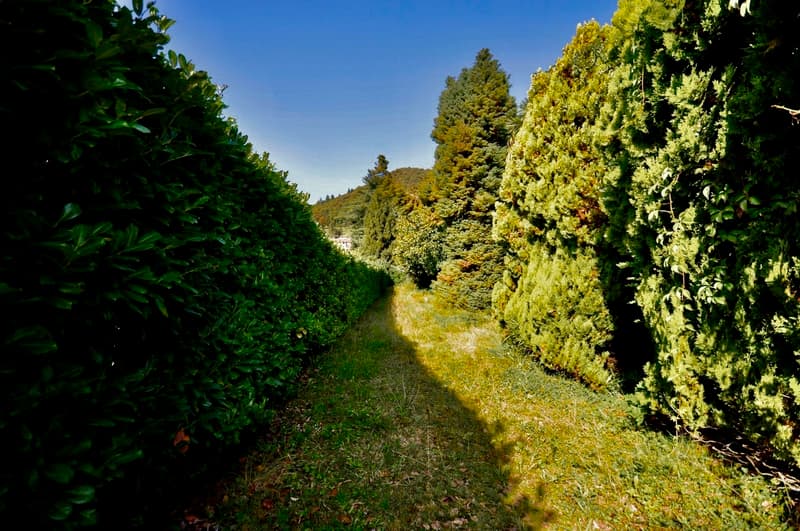 Villa da Ristrutturare Immersa in un Grande Parco con Tanta Privacy (13)