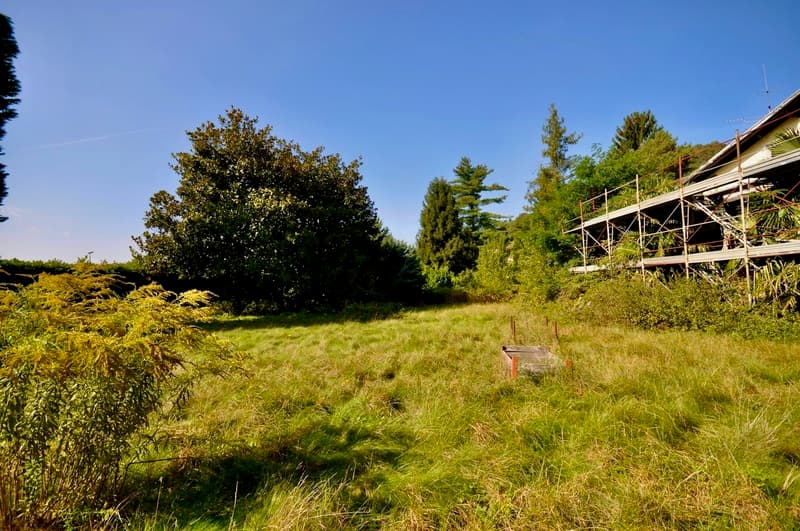 Villa da Ristrutturare Immersa in un Grande Parco con Tanta Privacy (5)