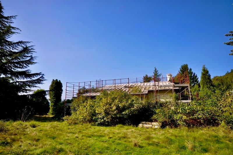 Villa da Ristrutturare Immersa in un Grande Parco con Tanta Privacy (8)