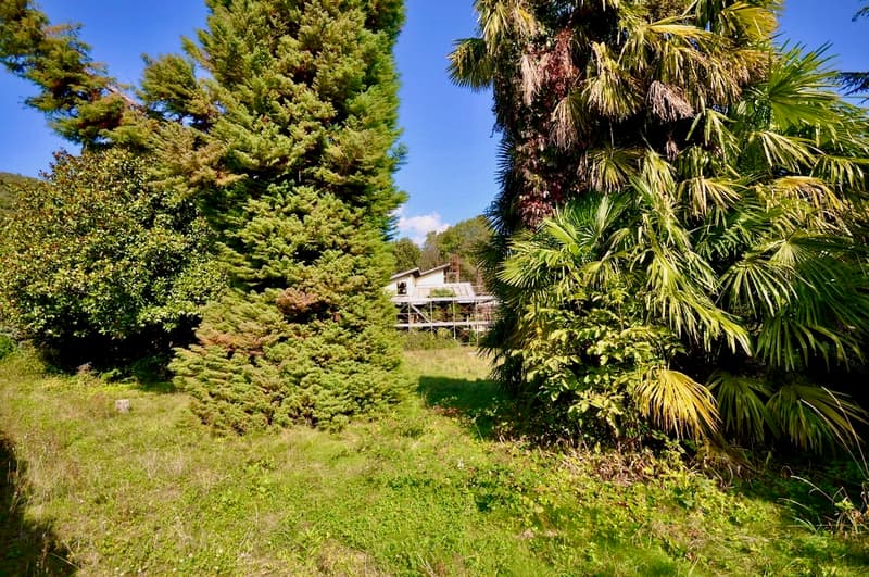 Villa da Ristrutturare Immersa in un Grande Parco con Tanta Privacy (3)