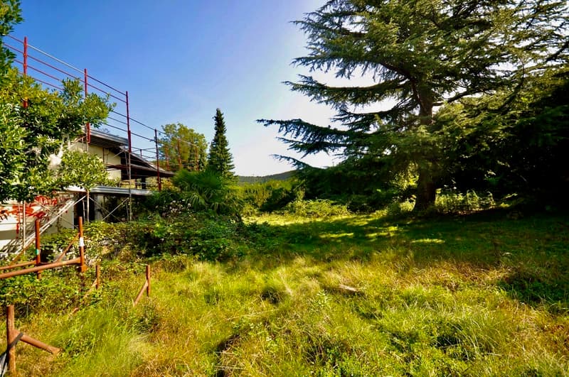 Villa da Ristrutturare Immersa in un Grande Parco con Tanta Privacy (7)
