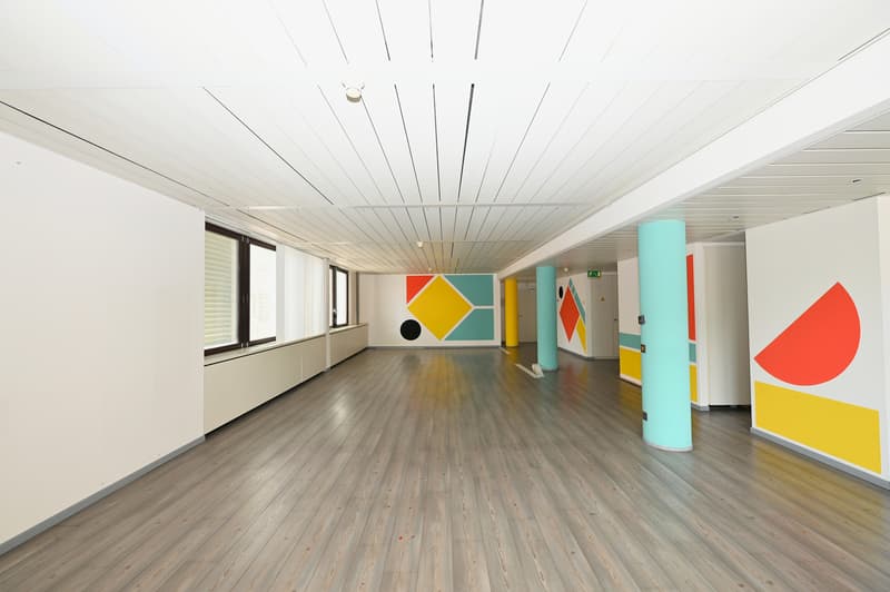 Palazzina a reddito con uffici a Chiasso (7)
