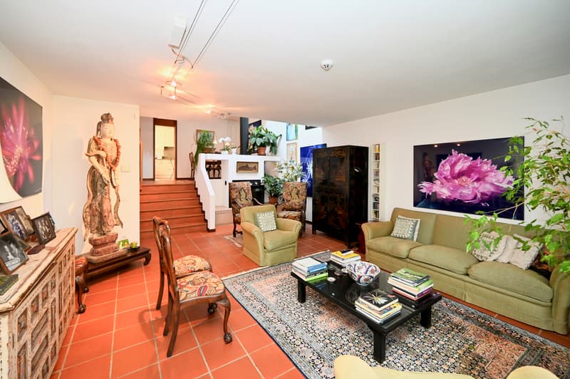 Accogliente Casa a Schiera con Giardino nel cuore di Collina d'Oro (5)