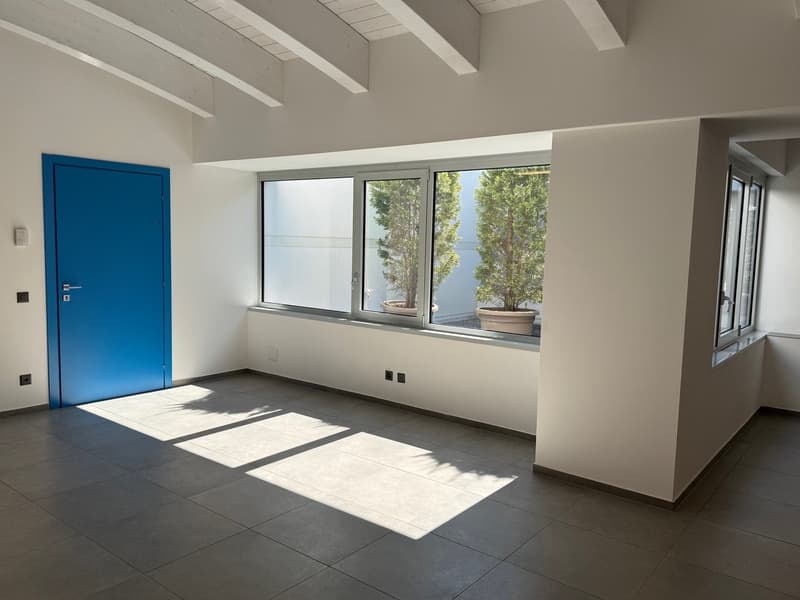Ufficio di 330m2 - Ideale per Uso Proprio e/o Investimento a Reddito (3)