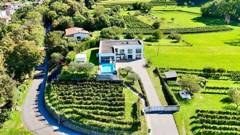 Prestigiosa villa Contemporanea con Giardino, Piscina e Vigna Privata (1)
