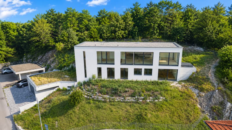 Villa Contemporanea Immersa nel Verde con Vista Panoramica (1)