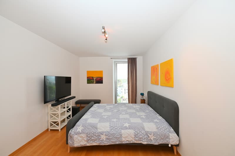 Elegante Appartamento Ammobiliato con Vista Panoramica a Porza (11)