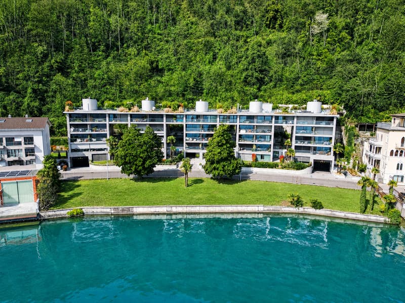 Raffinato Appartamento con Giardino Privato e Vista sul Lago di Lugano (1)