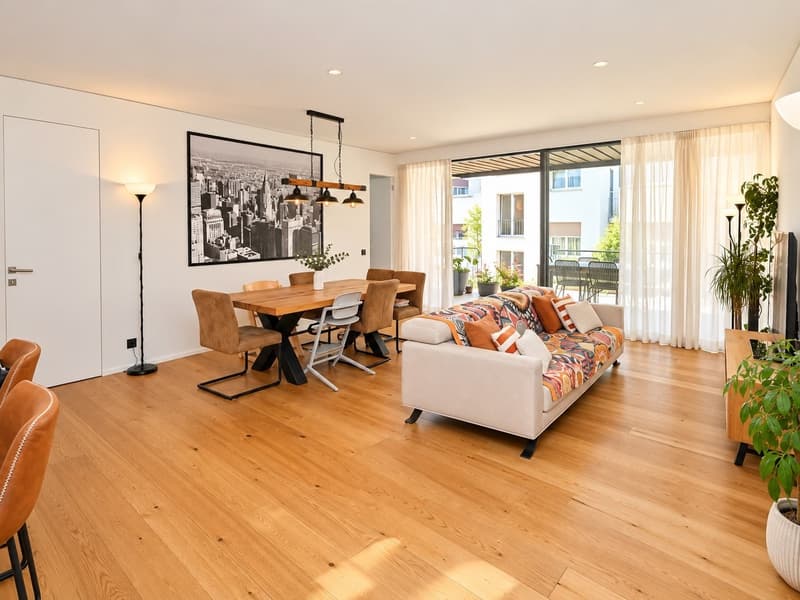 Moderno appartamento con 2 terrazze - 100 m dal Lago di Lugano (3)