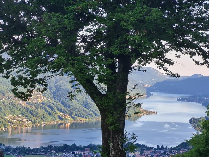 Villa d'Autore: vista golfo Lugano e Agno. Sito altamente energetico (10)