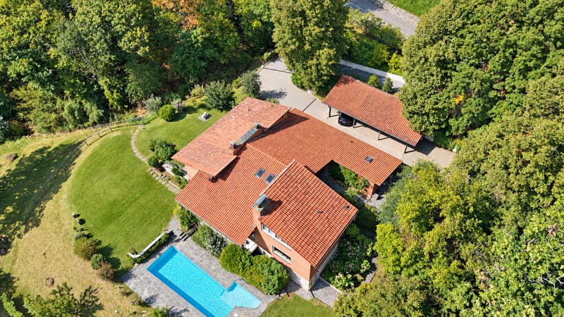 Villa d'Autore: vista golfo Lugano e Agno. Sito altamente energetico (3)