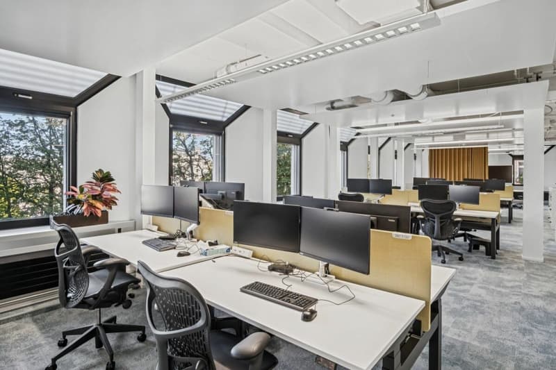 Exklusive Bürofläche mitten in Zürich (5)