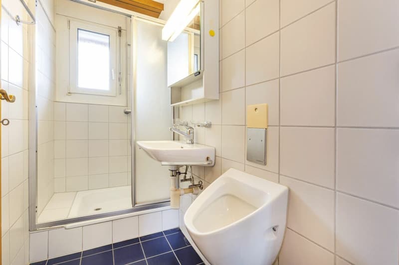 Einzigartige, helle Wohnung mit individuellem Grundriss und zwei Balkonen (8)