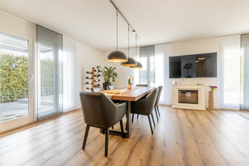 Detached, modern single-family house with plenty of space for living, hobbies, and business (5)