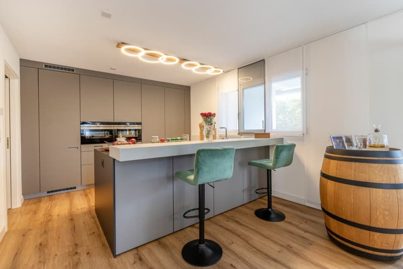 Detached, modern single-family house with plenty of space for living, hobbies, and business (7)