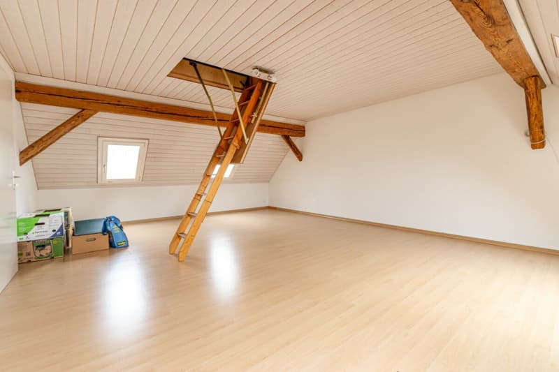 Potenzialreiches Bauernhaus mit drei Wohneinheiten und Scheune (15)