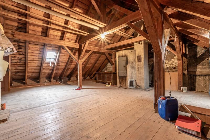 Potenzialreiches Bauernhaus mit drei Wohneinheiten und Scheune (34)