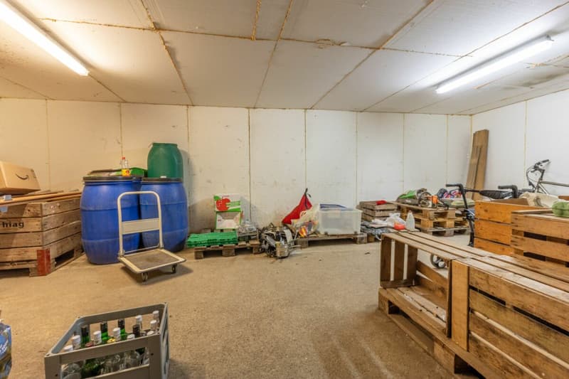 Potenzialreiches Bauernhaus mit drei Wohneinheiten und Scheune (43)