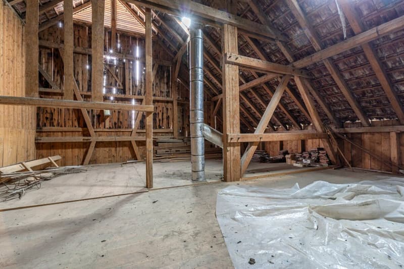 Potenzialreiches Bauernhaus mit drei Wohneinheiten und Scheune (47)