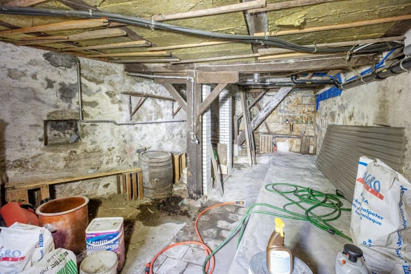 Potenzialreiches Bauernhaus mit drei Wohneinheiten und Scheune (48)