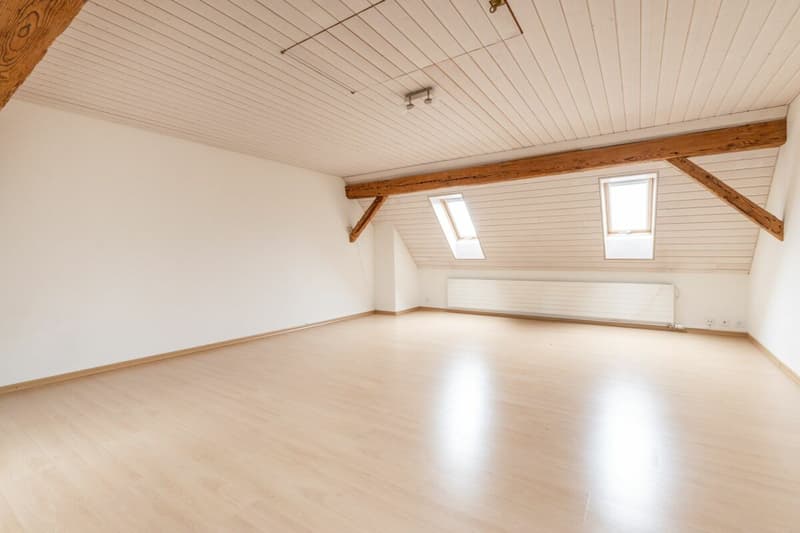 Potenzialreiches Bauernhaus mit drei Wohneinheiten und Scheune (13)