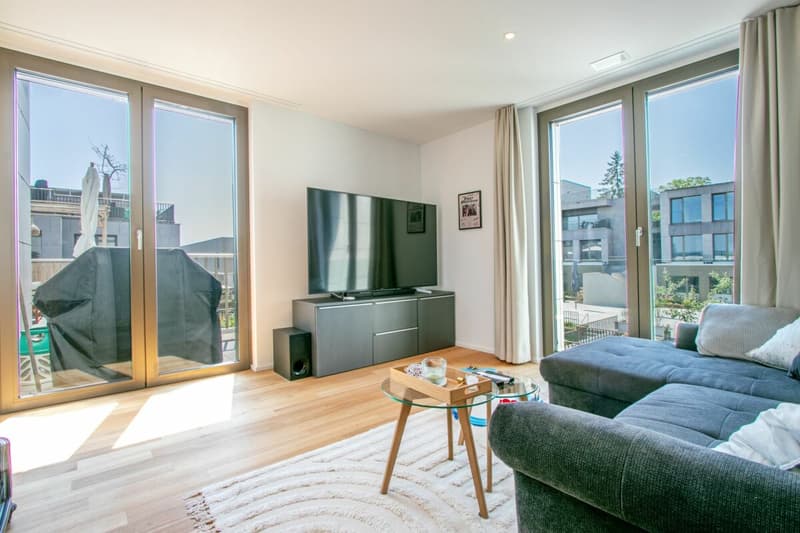 Maisonette moderna di 3,5 locali in standard Minergie-P - rurale, centrale e con terrazza soleggiata di 40m² (10)