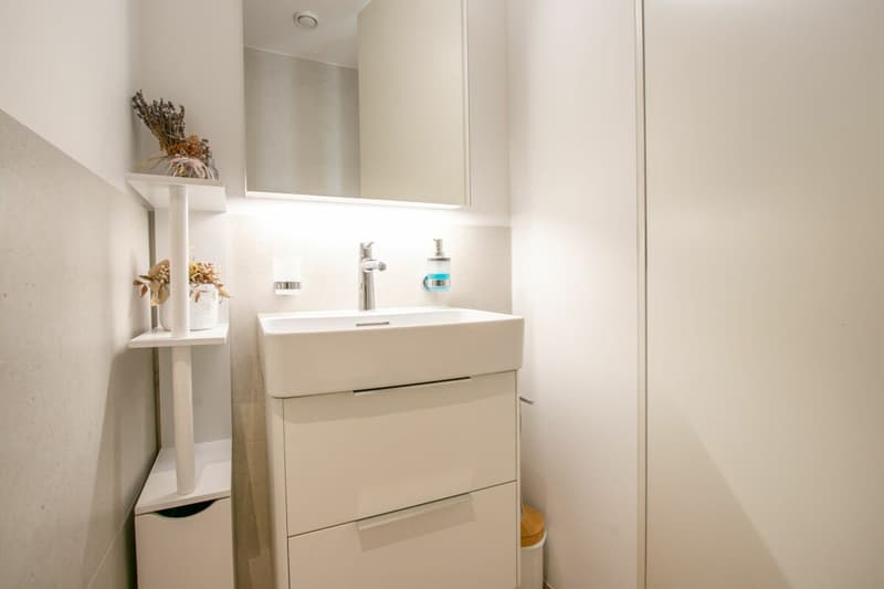 Maisonette moderna di 3,5 locali in standard Minergie-P - rurale, centrale e con terrazza soleggiata di 40m² (11)