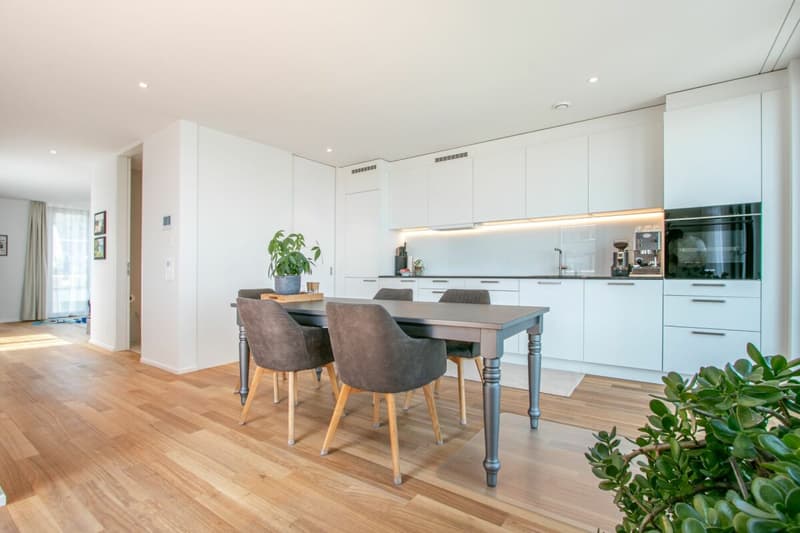 Maisonette moderna di 3,5 locali in standard Minergie-P - rurale, centrale e con terrazza soleggiata di 40m² (8)