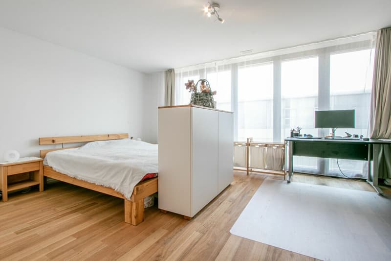 Maisonette moderna di 3,5 locali in standard Minergie-P - rurale, centrale e con terrazza soleggiata di 40m² (5)