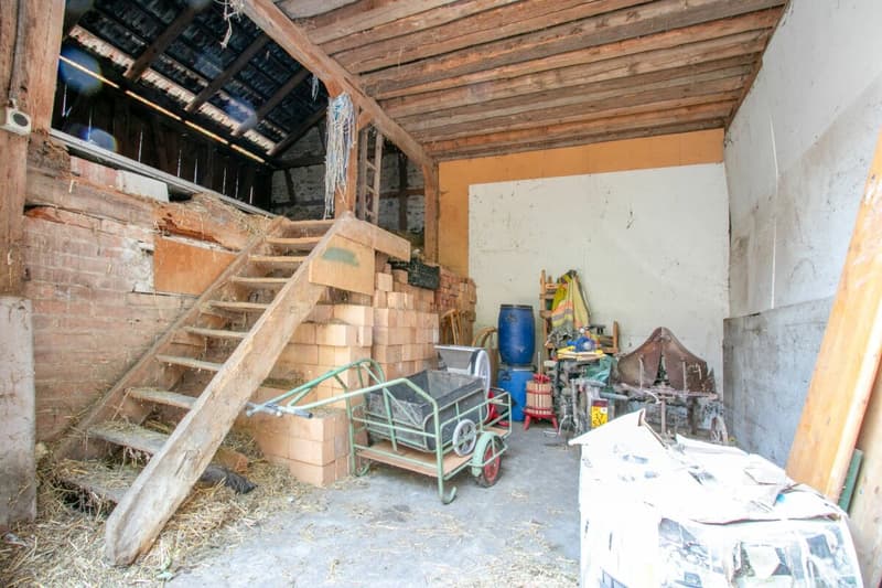 Historisches Wohnhaus mit Sanierungsbedarf und viel Potenzial (11)