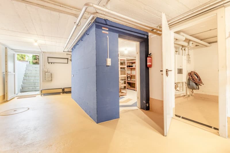 Charmantes 4.5 Zimmer Eck-Einfamilienhaus mit geschütztem Aussenbereich und Garagenbox (24)