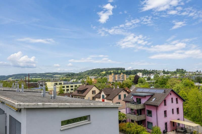 Topmodernes 7.5-Zimmer-Eck-Reiheneinfamilienhaus (10)