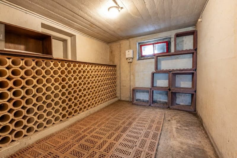 Grosszügiges 8.5-Zimmer-Familienhaus mit viel Platz und Potenzial (19)