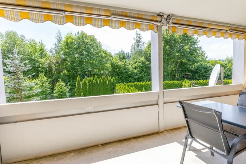 Komfortable 3.5 Zimmer Wohnung mit Balkon und zwei Tiefgaragenplätze (9)
