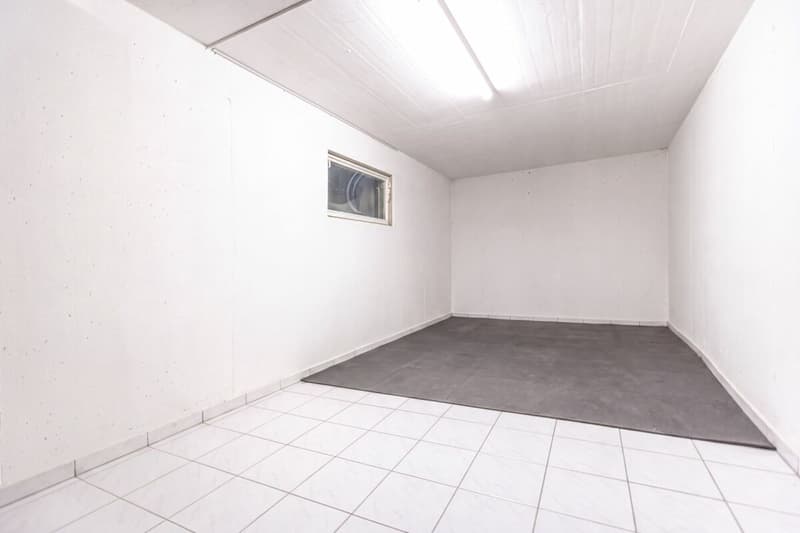 Grosszügiges 6.5-Zimmer-Doppeleinfamilienhaus mit Doppelgarage, Garten und Pool (15)