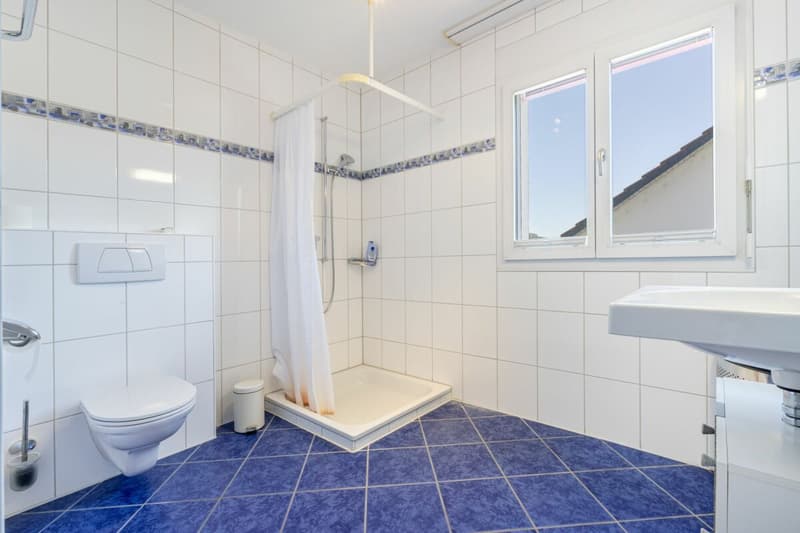 Grosszügiges 6.5-Zimmer-Doppeleinfamilienhaus mit Doppelgarage, Garten und Pool (14)