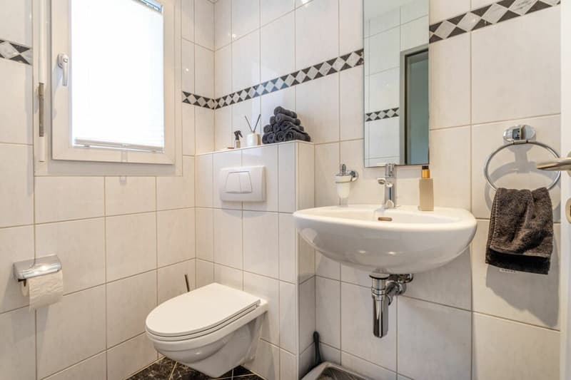 Grosszügiges 6.5-Zimmer-Doppeleinfamilienhaus mit Doppelgarage, Garten und Pool (7)