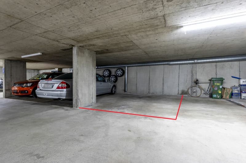 Charmante 3.5-Zimmer-Dachwohnung mit grosszügigem Gartenbereich (16)