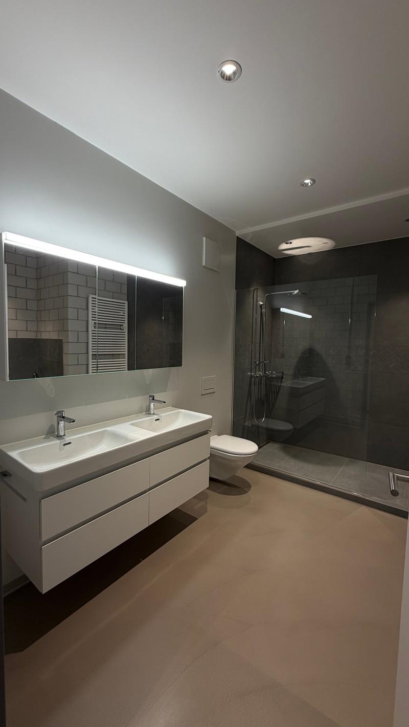 Attractive loft apartments in Zürich-Albisrieden (No. 21) (4)