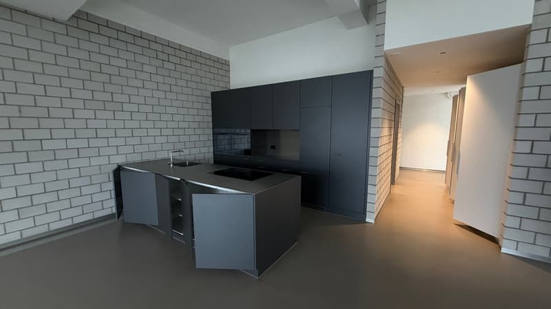 Attractive loft apartments in Zürich-Albisrieden (No. 21) (2)
