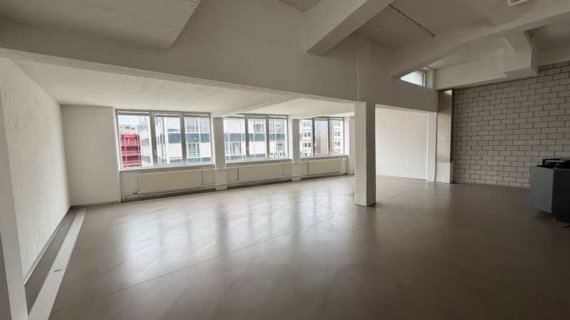 Attractive loft apartments in Zürich-Albisrieden (No. 21) (3)