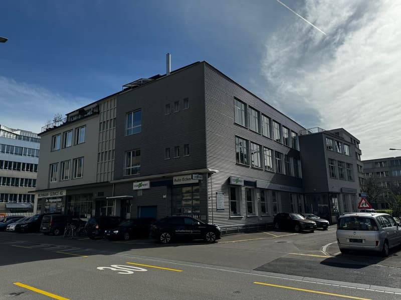 Attractive loft apartments in Zürich-Albisrieden (No. 21) (1)