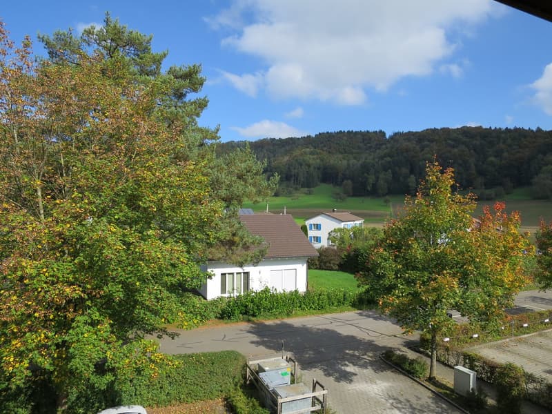 View of a garden and a house in the countryside with trees and plants