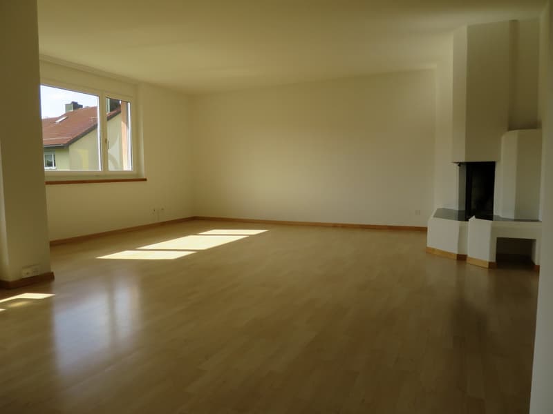 empty room, hardwood floor, fireplace on wall, windows