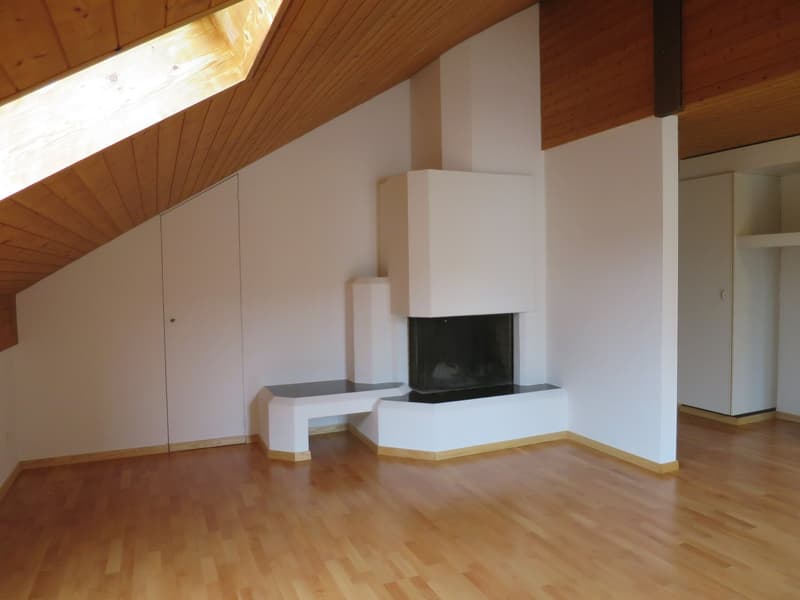 wooden ceiling, white walls, wooden floor, white bench, black fireplace, white closet, skylight