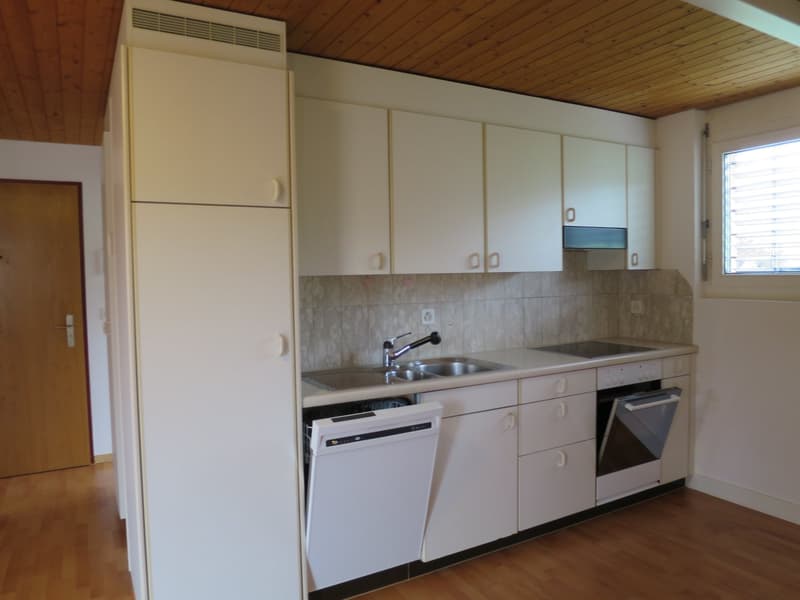 modern kitchen, white cabinets, wooden flooring, sink with faucet, dishwasher, gas stove, oven, window with blinds