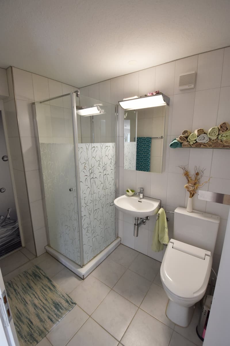 *** Exklusives Terrassenhaus mit atemberaubender Panoramasicht *** (8)