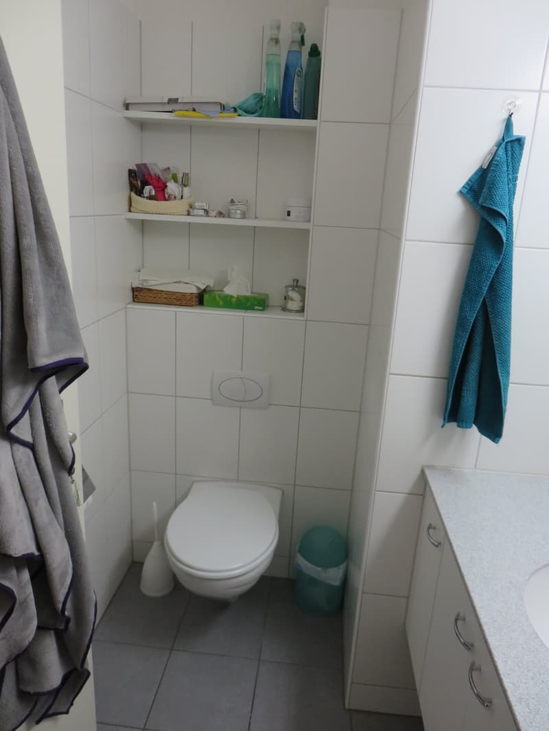 ***helle, charmante 3½-Zimmer-Wohnung im Hochparterre*** (10)