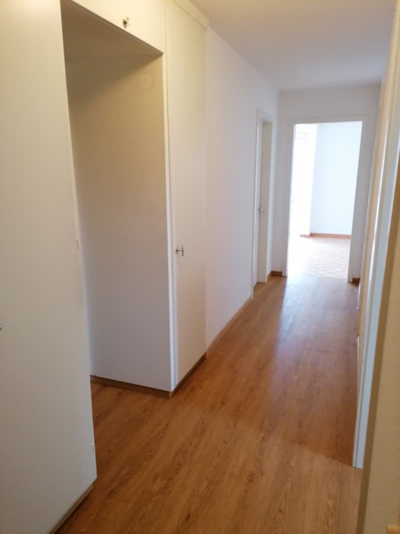 ***helle, charmante 3½-Zimmer-Wohnung im Hochparterre*** (6)